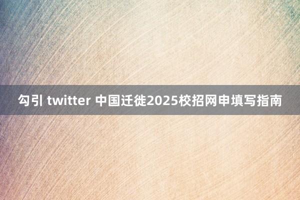 勾引 twitter 中国迁徙2025校招网申填写指南