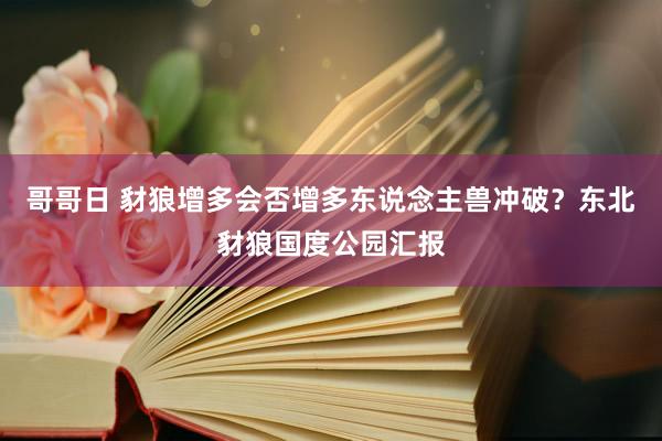 哥哥日 豺狼增多会否增多东说念主兽冲破？东北豺狼国度公园汇报