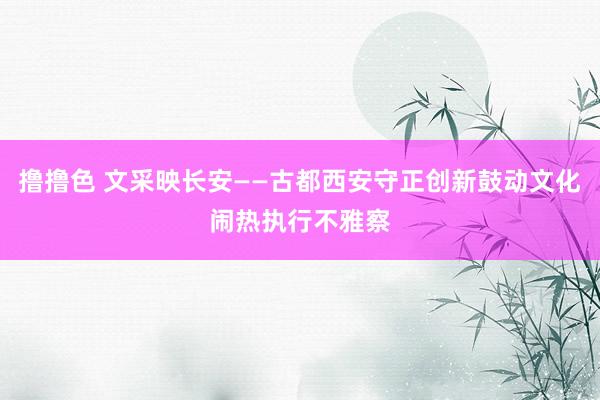 撸撸色 文采映长安——古都西安守正创新鼓动文化闹热执行不雅察