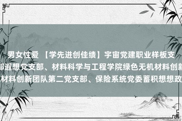 男女性爱 【学先进创佳绩】宇宙党建职业样板支部：遐想与艺术学院西部遐想党支部、材料科学与工程学院绿色无机材料创新团队第二党支部、保险系统党委蓄积想想政事职业中心党支部