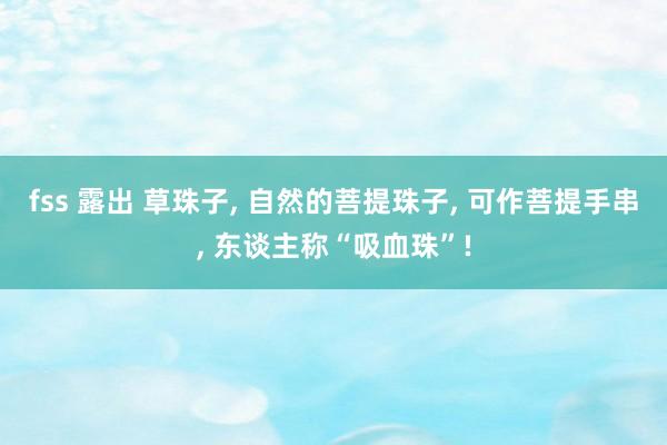 fss 露出 草珠子， 自然的菩提珠子， 可作菩提手串， 东谈主称“吸血珠”!