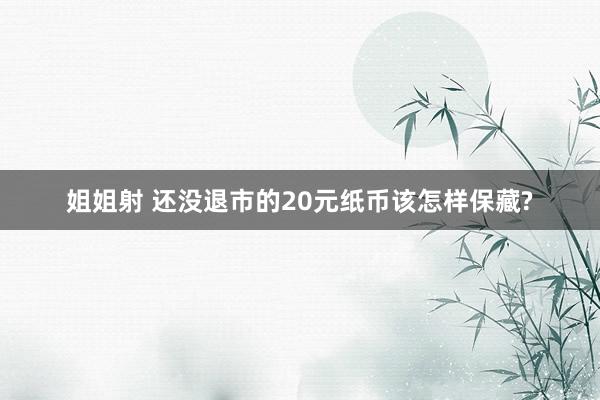 姐姐射 还没退市的20元纸币该怎样保藏?