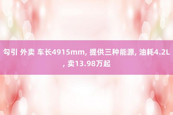 勾引 外卖 车长4915mm， 提供三种能源， 油耗4.2L， 卖13.98万起