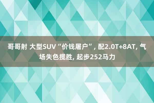 哥哥射 大型SUV“价钱屠户”， 配2.0T+8AT， 气场失色揽胜， 起步252马力