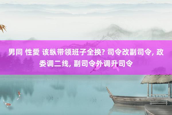 男同 性愛 该纵带领班子全换? 司令改副司令， 政委调二线， 副司令外调升司令