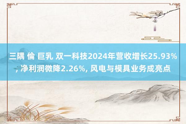 三隅 倫 巨乳 双一科技2024年营收增长25.93%， 净利润微降2.26%， 风电与模具业务成亮点
