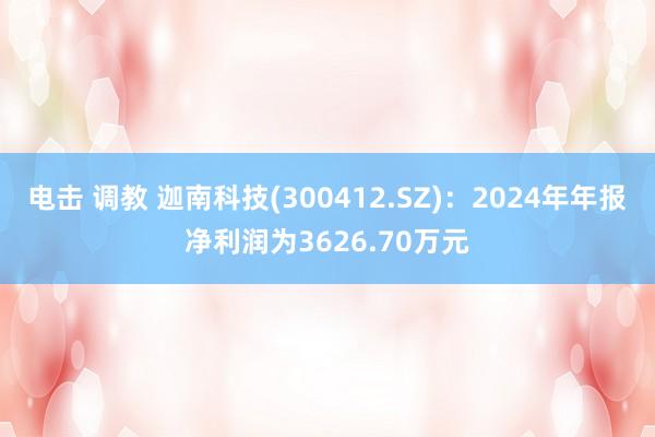 电击 调教 迦南科技(300412.SZ)：2024年年报净利润为3626.70万元