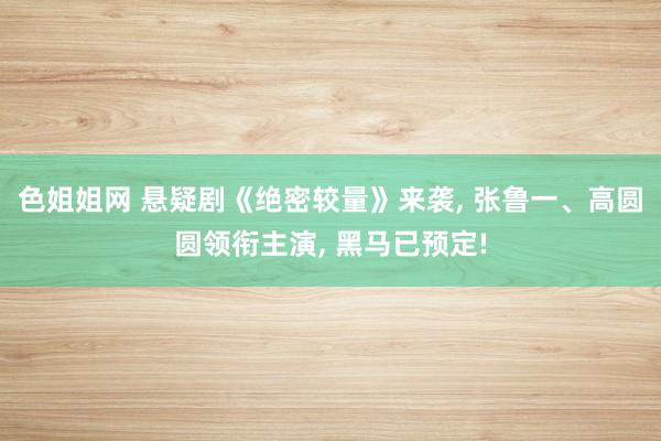 色姐姐网 悬疑剧《绝密较量》来袭， 张鲁一、高圆圆领衔主演， 黑马已预定!